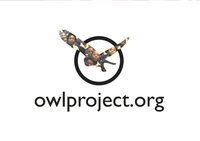 Celebrating International Owl Day by giving to the community