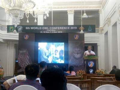 Jonathan Haw presenting at the World Owl Conference in India. 